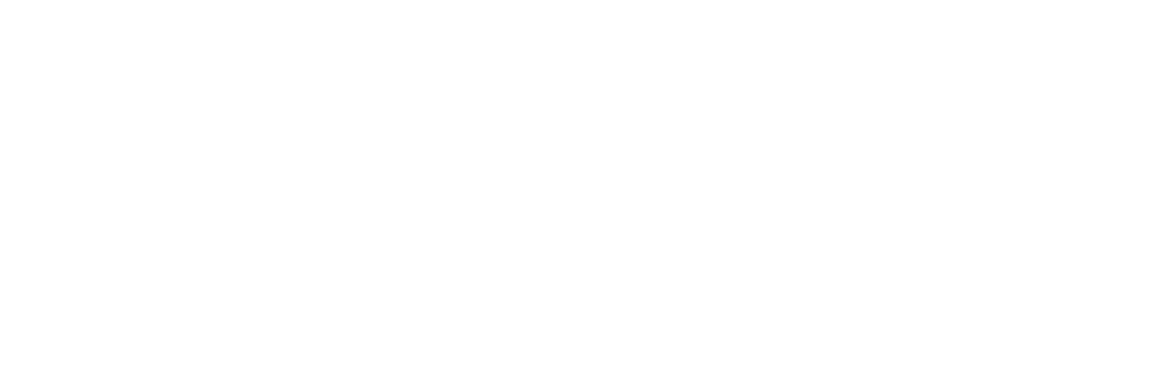 CONSULT SAFE-BR